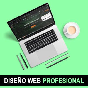 02-Web Profesional